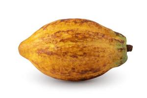 frutti di cacao maturi isolati su sfondo bianco foto