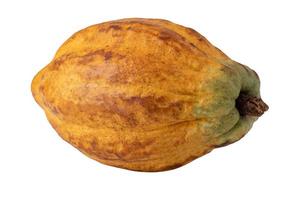 maturo cacao frutta isolato su alfa sfondo foto