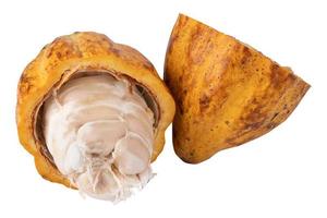 frutti di cacao maturi isolati su sfondo bianco foto