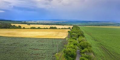 aereo Visualizza a partire dal fuco di bellissimo verde campagna, campi, strada con alberi, e nuvoloso cielo foto