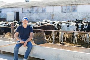 contadino sta lavorando in fattoria con vacche da latte foto