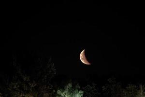 bellissimo arancia trimestre Luna nel il buio notte cielo foto