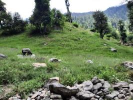 kashmir è il maggior parte bellissimo regione nel il mondo quale è famoso per suo verde valli, bellissimo alberi, alto montagne e fluente molle. foto