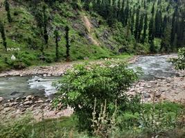 kashmir è il maggior parte bellissimo regione nel il mondo quale è famoso per suo verde valli, bellissimo alberi, alto montagne e fluente molle. foto