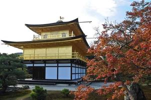 giapponese d'oro padiglione kinkakuji e rosso acero albero nel autunno kyoto Giappone foto