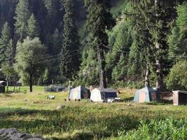 kashmir è il maggior parte bellissimo regione nel il mondo quale è famoso per suo verde valli, bellissimo alberi, alto montagne e fluente molle. foto