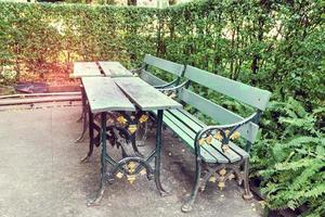 verde di legno panchina nel il giardino foto