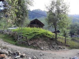 kashmir è il maggior parte bellissimo regione nel il mondo quale è famoso per suo verde valli, bellissimo alberi, alto montagne e fluente molle. foto