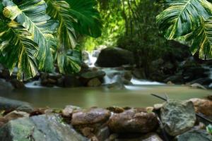 verde le foglie modello per natura concetto, foglia di epipremnum aureum con sfocatura fluente acqua di montagna ruscello sfondo foto