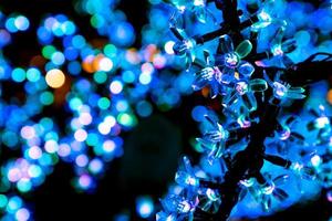 ornamentale fiore con blu bokeh luci di Natale luci e nuovo anno foto