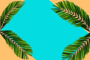 verde palma le foglie modello per natura concetto, tropicale foglia su arancia e alzavola carta sfondo foto