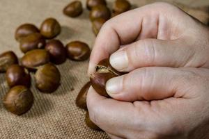 mano Tenere fresco castagne con sacco Borsa sfondo foto