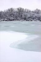 pierce lago nevicata illinois foto