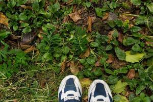 femmina piedi nel blu sport scarpe su terra con erba foto