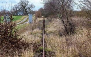 multiplo Ferrovia brani con incroci a un' ferrovia stazione nel un' prospettiva e uccelli Visualizza foto