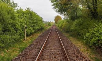 multiplo Ferrovia brani con incroci a un' ferrovia stazione nel un' prospettiva e uccelli Visualizza foto