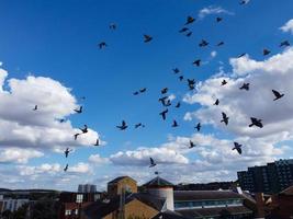 maggior parte bellissimo aereo Visualizza di drammatico nuvole foto