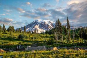 paesaggio di montare più piovoso nazionale parco nel Stati Uniti d'America foto