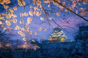 crepuscolo a osaka castello durante ciliegia fiori stagione foto