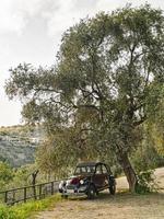 vecchio citroen auto modello parcheggiata sotto un oliva albero paesaggio di liguria foto
