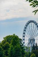 paesaggio di un parco divertimenti con la parte superiore di una ruota panoramica che mostra sopra le cime degli alberi contro un cielo blu. foto