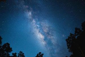 notte scena latteo modo sfondo, alberi contro cielo a notte foto