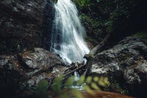 cascata nel tropicale foresta, cascata nel giungla foto