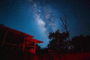 notte scena latteo modo sfondo, alberi contro cielo a notte foto