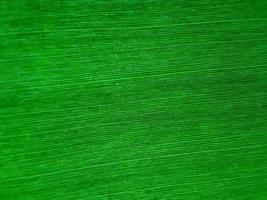 verde Banana foglia tessitura Perfetto per sfondo e sfondo foto