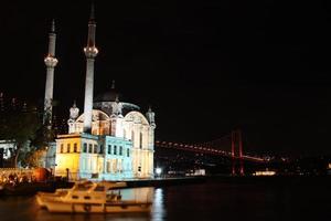 ortakoy, Istanbul, tacchino foto