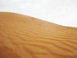 onde di sabbia struttura. dune di il deserto. deserto dune tramonto paesaggio. foto