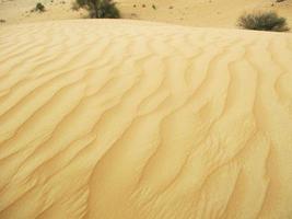 onde di sabbia struttura. dune di il deserto. deserto dune tramonto paesaggio. foto