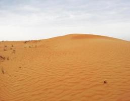 onde di sabbia struttura. dune di il deserto. deserto dune tramonto paesaggio. foto