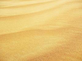 onde di sabbia struttura. dune di il deserto. deserto dune tramonto paesaggio. foto