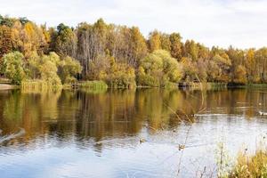 colorato alberi e stagno nel città parco nel autunno foto