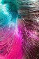 sopra Visualizza di separazione di multicolore tinti capelli foto