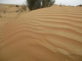 onde di sabbia struttura. dune di il deserto. deserto dune tramonto paesaggio. foto