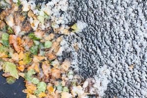 il primo neve di congelato pozzanghera con caduto le foglie foto