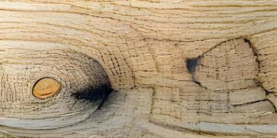 Marrone di legno struttura. legna compensato struttura sfondo foto
