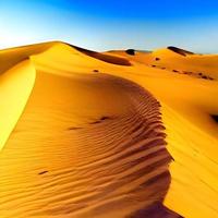 sabbia dune nel il sahara deserto foto