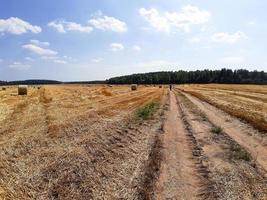 strada sterrata attraverso un campo in campagna. pittoresco paesaggio ad acquerello, sfondo delicato. tema dell'agricoltura, della vita non in città, dei viaggi foto