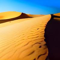 sabbia dune nel il sahara deserto foto