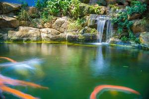 giapponese giardino cascate. lussureggiante verde tropicale koi stagno con cascata a partire dal ogni lato. un' lussureggiante verde giardino con cascata a cascata giù il roccioso pietre. zen e tranquillo, calmo sfondo. foto