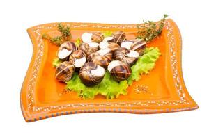 escargot sul piatto e sfondo bianco foto