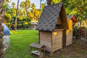 di legno gatto Casa nel il giardino foto