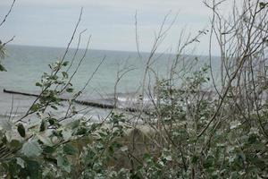 il isola di zingst a il baltico mare foto