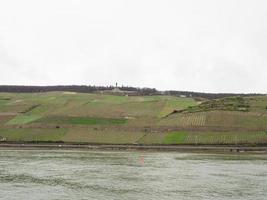 fiume crociera su il Reno nel Germania foto