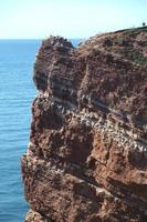 l'isola di Helgoland foto