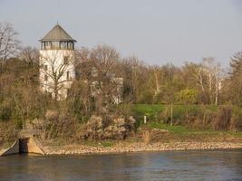 il Reno fiume vicino colonia foto