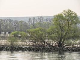 il fiume Reno nel Germania foto